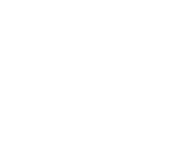 Evolution games at Bridgecoin Casino